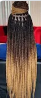 2T1B/27 Outre 3X X-Pression Braid Pre Stretched Braid 52"